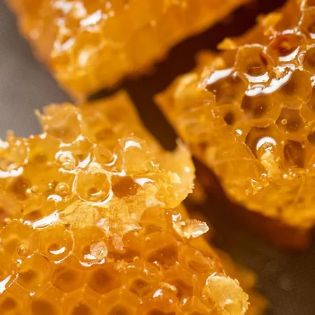 Le Blanc Hébergement de vacances *