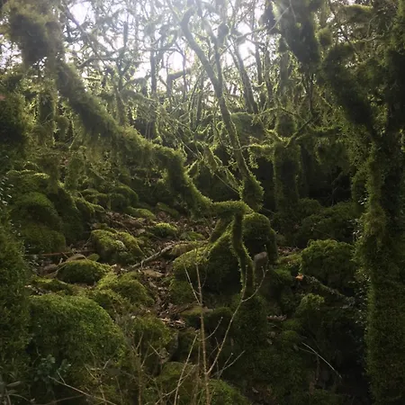 Hébergement de vacances Le Blanc Versols-et-Lapeyre