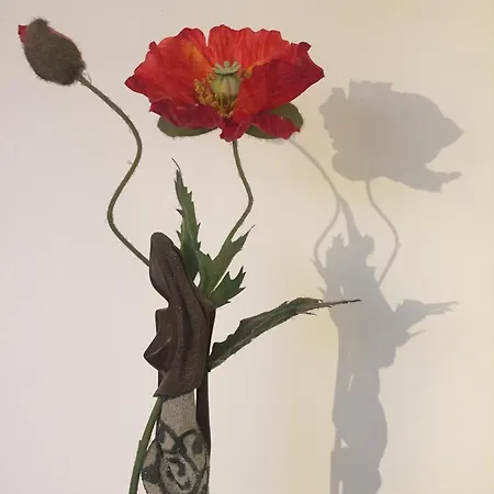 Hébergement de vacances Le Blanc *