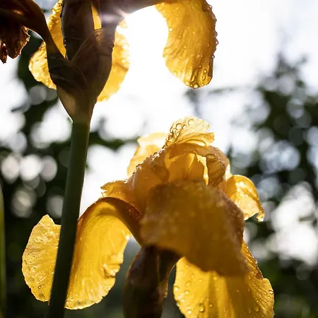 Le Blanc Versols-et-Lapeyre