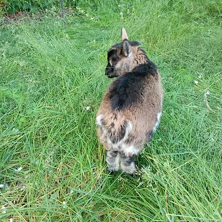 Le Blanc Versols-et-Lapeyre