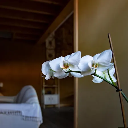 Le Blanc Vakantiehuis