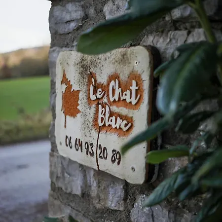 Holiday home Le Blanc *
