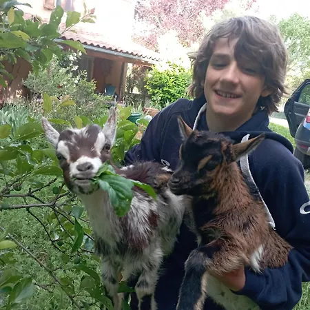 Vakantiehuis Le Blanc Versols-et-Lapeyre