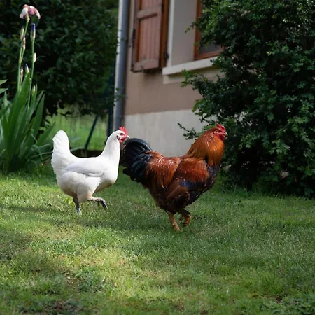 Le Blanc Vakantiehuis
