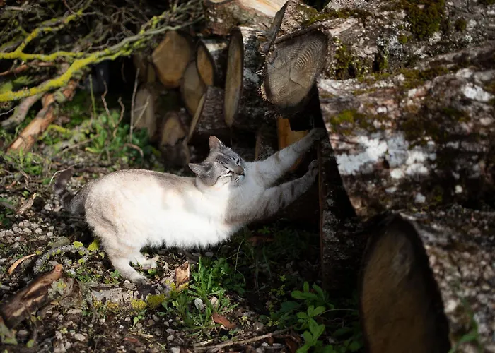 Le Blanc 度假居 *