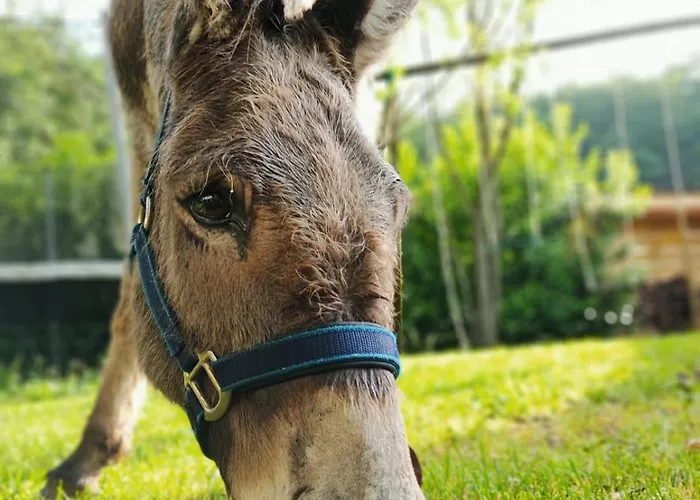 度假居 Le Blanc *