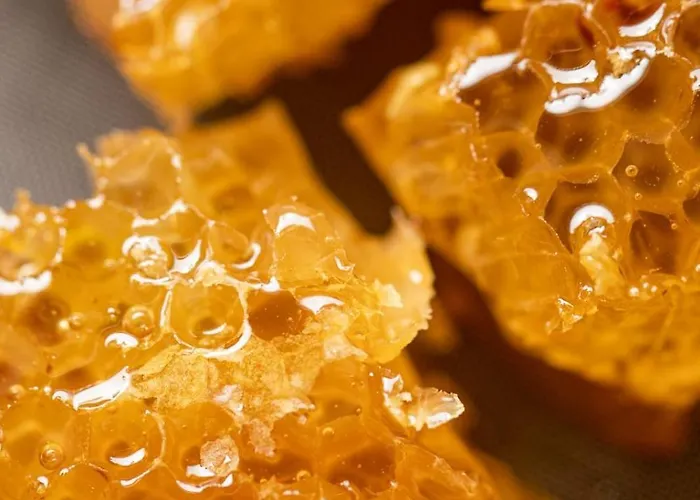 Le Blanc 度假居 *