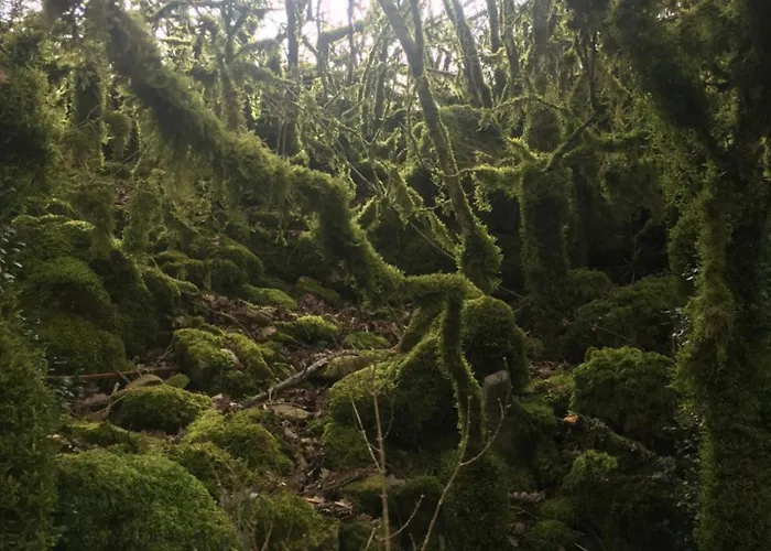 度假居 Le Blanc Versols-et-Lapeyre