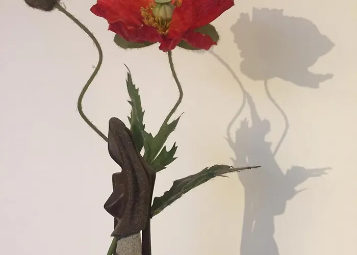 度假居 Le Blanc *