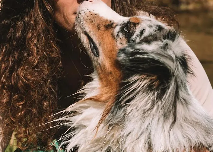 Le Blanc 度假居 Versols-et-Lapeyre