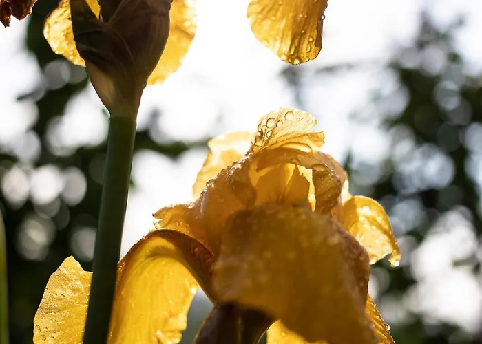 Le Blanc Versols-et-Lapeyre