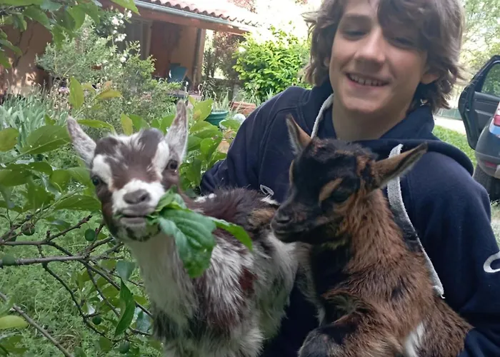 度假居 Le Blanc Versols-et-Lapeyre