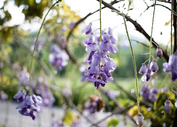 Le Blanc Versols-et-Lapeyre