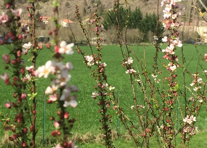 Le Blanc 度假居 *